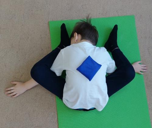 С января в нашем садике началась программа детского фитнеса доп Здоровый Малыш. 06