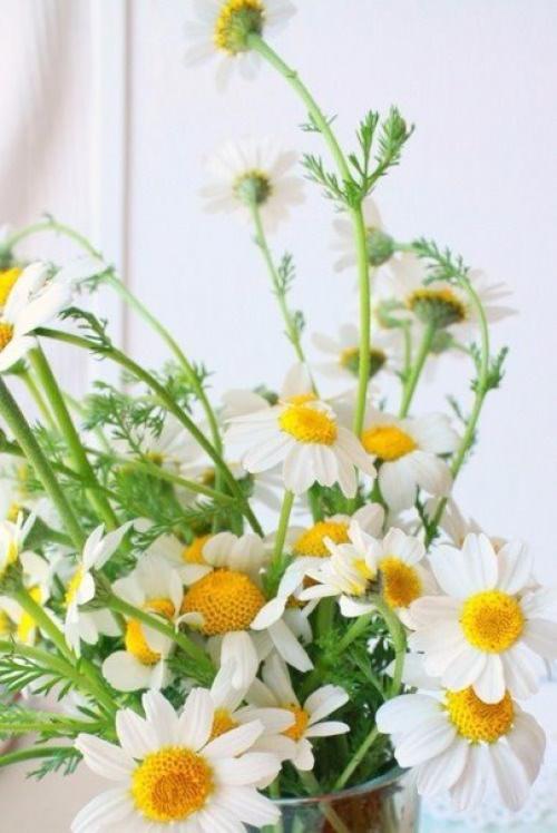 Доброе утро. Пусть в вашем доме будет всё;. 01