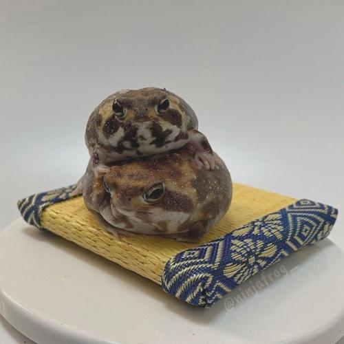 Такая разновидность фитнеса как Скандинавская Ходьба появилась из-за потребности в тренировке лыжников в летнее время. 04