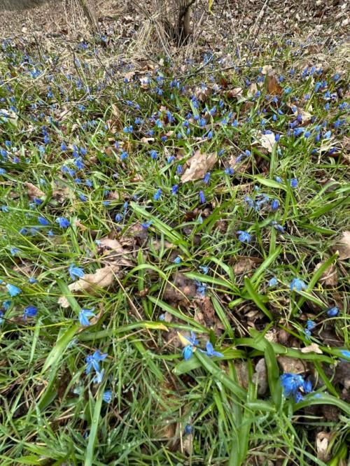 Суббота.  По плану фитнес тренировка, готовимся к сезонным стартам, поработали мышцы рук, ног, не забыли и про технику. 02