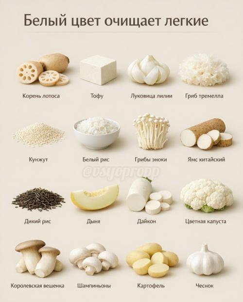 Цвет продуктов - это не просто эстетика. 03