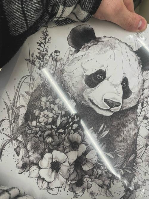 Неделя без тренировок. 02