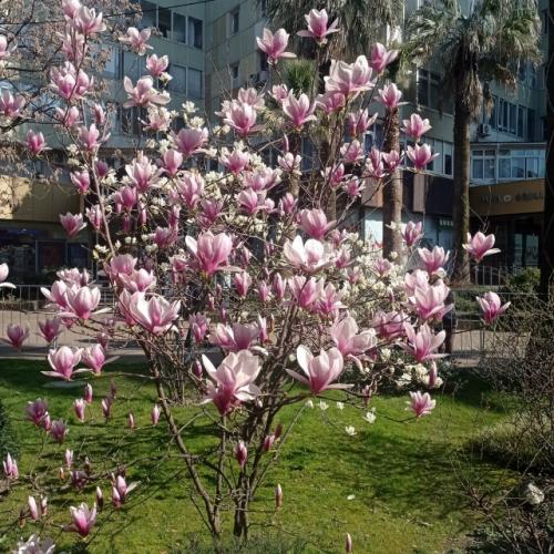 Наконец - то то я добралась до фитнес клуба DDX! 03