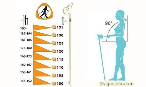 Скандинавская ходьба. Скандинавская ходьба - это не развлечение, а вполне серьезный вид фитнеса для укрепления здоровья и для похудения. 02