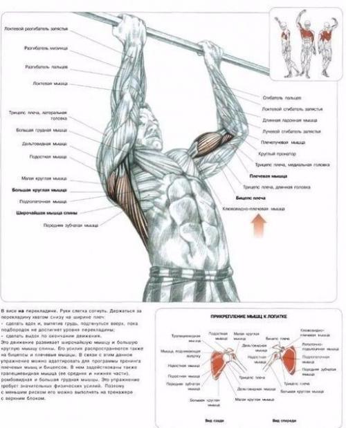 Упражнения для спины и не только. 03
