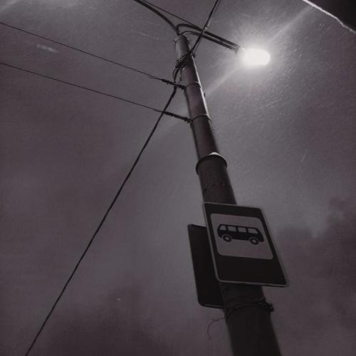 Такая разновидность фитнеса как Скандинавская Ходьба появилась из-за потребности в тренировке лыжников в летнее время. 08