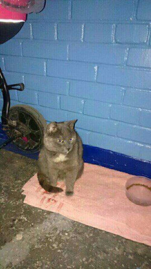 Спб, Колпино!  SOS, Help! 01