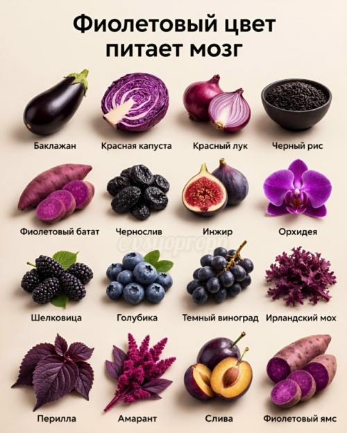 Цвет продуктов - это не просто эстетика. 06