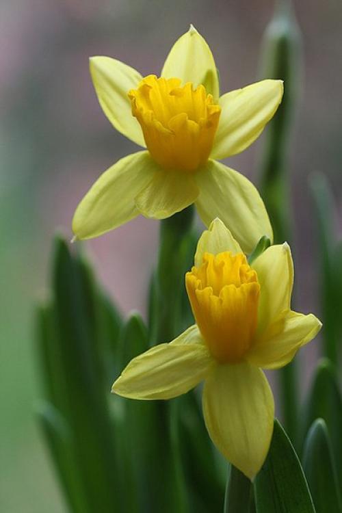 Доброе утро. Улыбнись, когда на небе тучи. 02