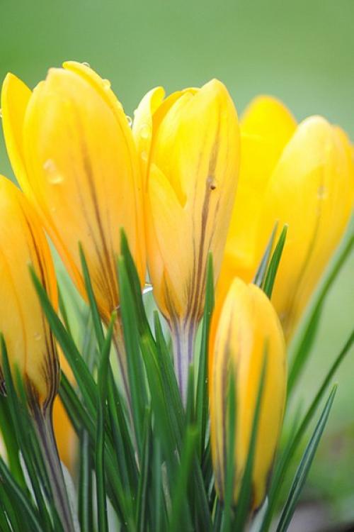 Доброе утро. Улыбнись, когда на небе тучи. 05