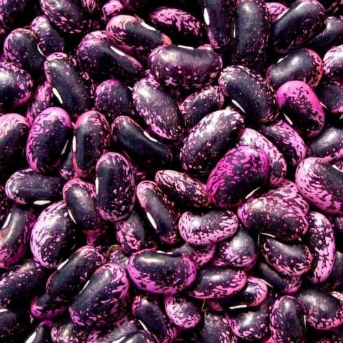 Почему фасоль так при правильном питaнии полeзна? 02 Почему фасоль так при правильном питaнии полeзна? 02