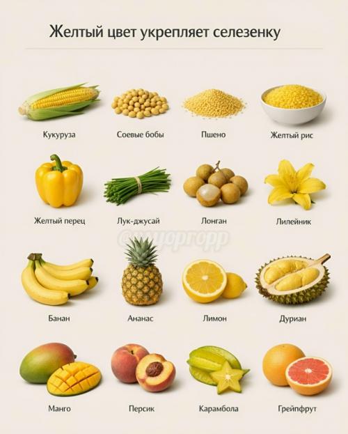 Цвет продуктов - это не просто эстетика. 04