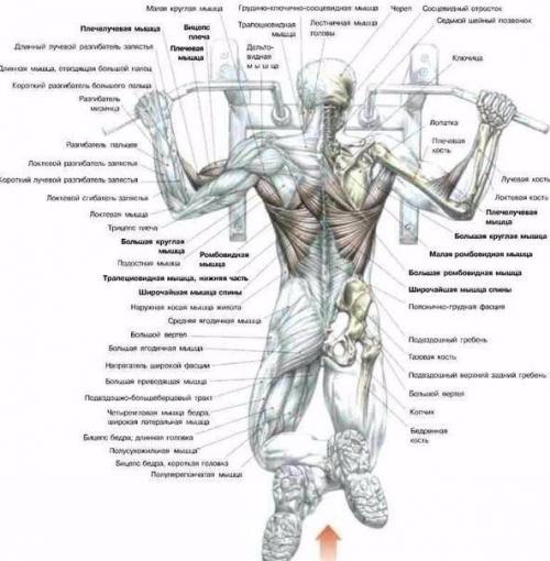 Упражнения для спины и не только. 01