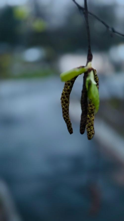 По дороге домой. 04