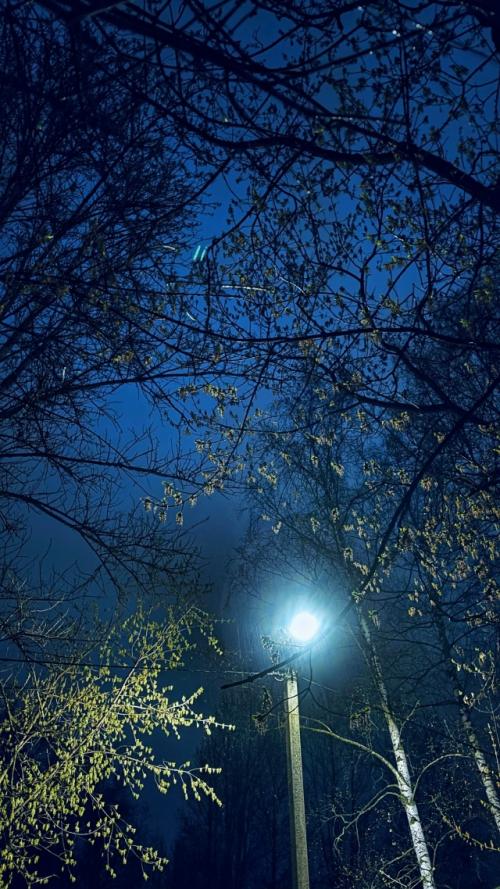 По дороге домой. 06