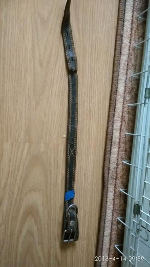 _Пост вопросов_. 1. 14 апреля в 10 утра в районе улицы Наумов Ярославля. 01 _Пост вопросов_. 1. 14 апреля в 10 утра в районе улицы Наумов Ярославля. 01