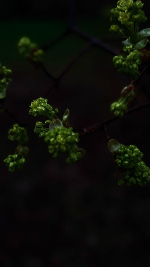 По дороге домой. 01