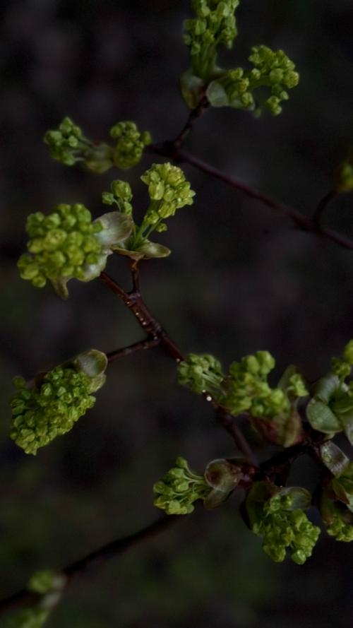 По дороге домой. 05