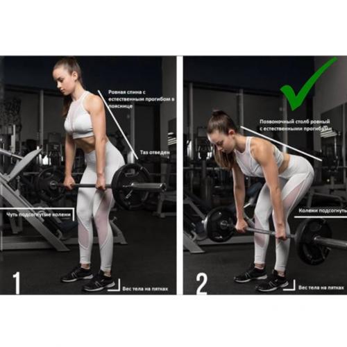 Адепты Святой Нейтрали так назвал специалистов по движению один из известных представителей старой школы фитнеса. 01 Адепты Святой Нейтрали так назвал специалистов по движению один из известных представителей старой школы фитнеса. 01