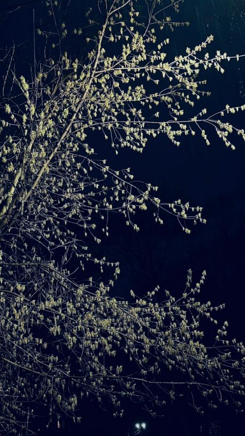 По дороге домой. 07