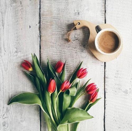 Berry_tea_советы. 01