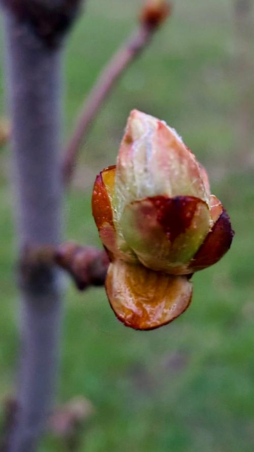 По дороге домой. 03