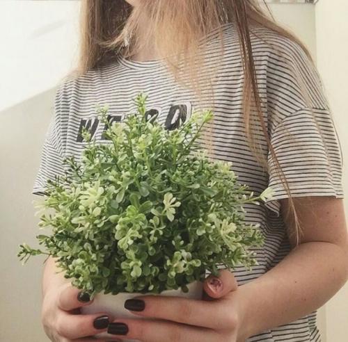 Виды занятий спортом для девушек. Виды спорта для девушек?