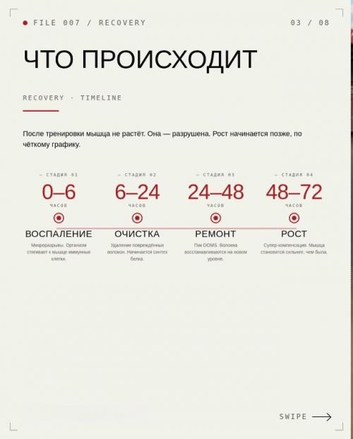 Сколько времени нужно мышцам для роста. 02