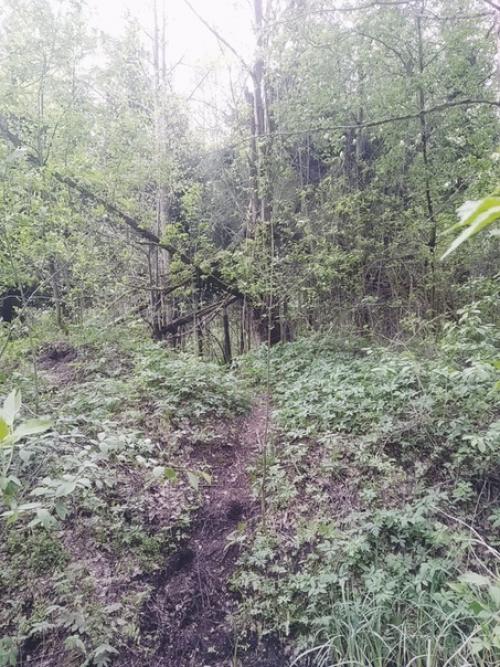 Дубна, московская область, Подмосковье, Дмитров. 03 Дубна, московская область, Подмосковье, Дмитров. 03