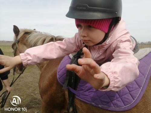 Когда в интернет - магазинах что то покупаешь, программа предлагает сопутствующие товары - можно брать, можно не брать. 01