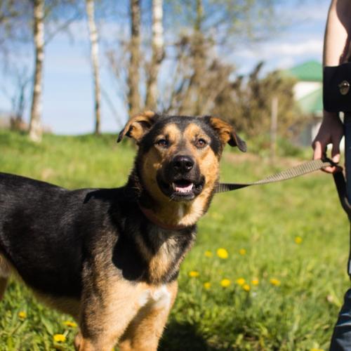 СПб! Время лениться и толстеть - прошла! 01 СПб! Время лениться и толстеть - прошла! 01