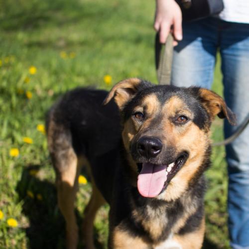 СПб! Время лениться и толстеть - прошла! 03 СПб! Время лениться и толстеть - прошла! 03