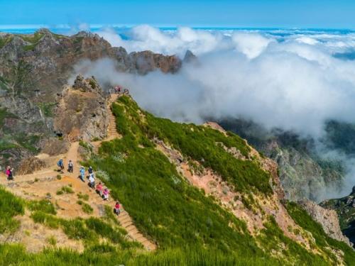 Чем заняться на мадейре (Португалия). 06