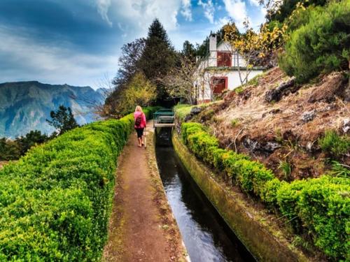 Чем заняться на мадейре (Португалия). 07
