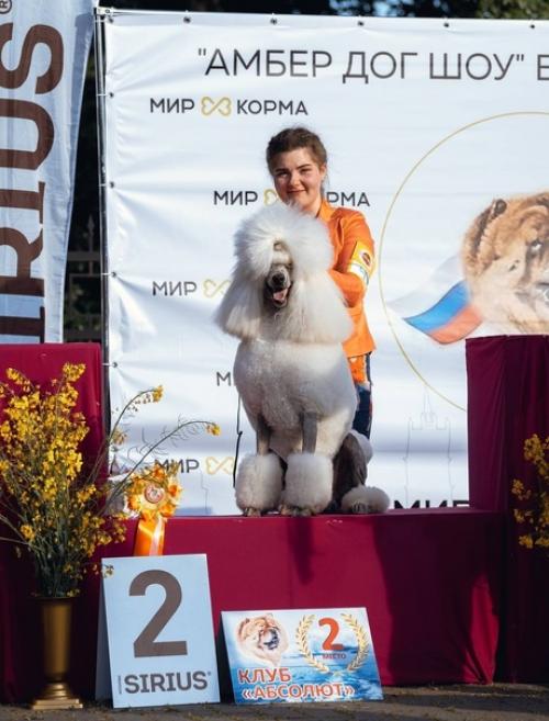 27 мая, Made in Heaven Dangerous Desire & джаз. 01