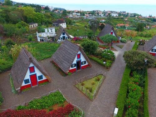 Чем заняться на мадейре (Португалия). 08