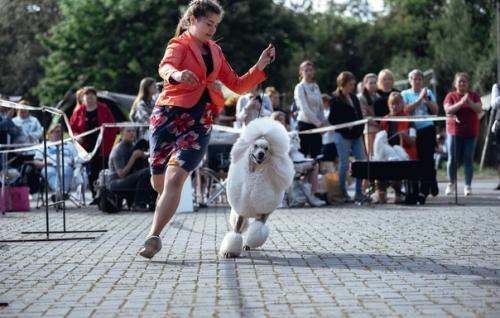 27 мая, Made in Heaven Dangerous Desire & джаз. 03