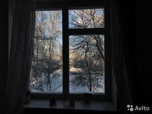 Кому уютное гнёздышко? 07 Кому уютное гнёздышко? 07