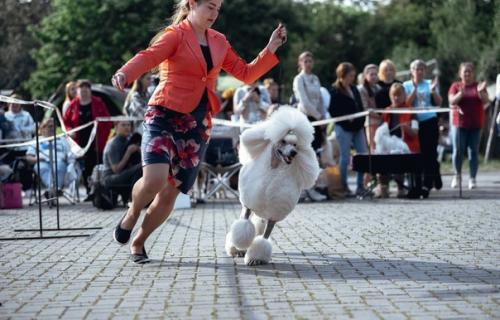 27 мая, Made in Heaven Dangerous Desire & джаз. 04