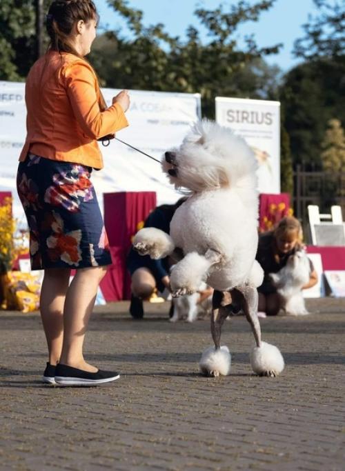 27 мая, Made in Heaven Dangerous Desire & джаз. 02