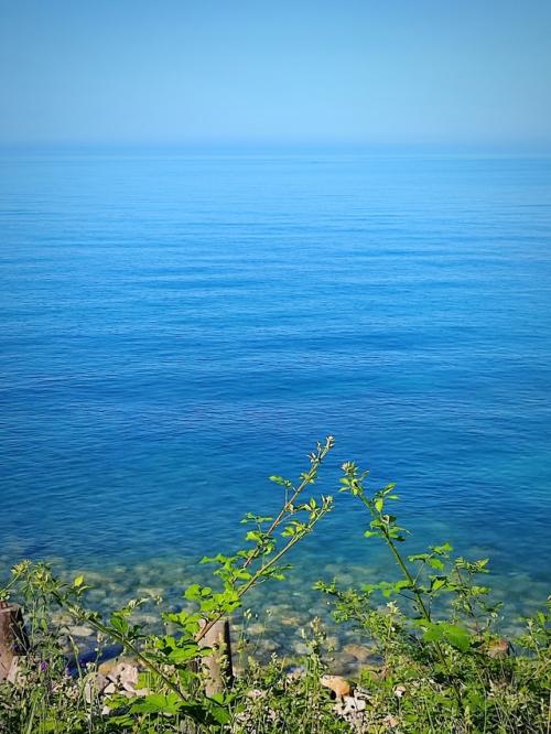 Интересно, что из нашего летнего дома - сада с малыми зверятами все новости смотрятся как трансляция с другой планеты. 05