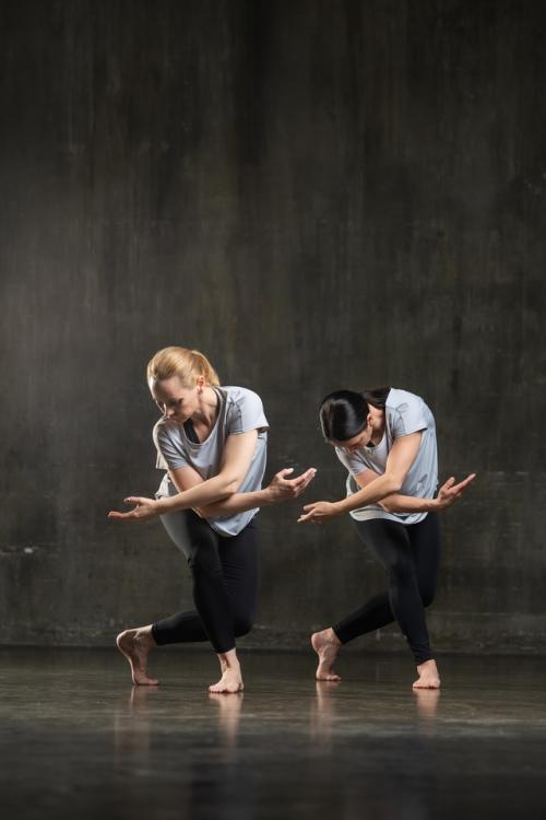 Упражнения пордебра можно разделить на несколько основных групп: упражнения для укрепления мышц плечевого пояса. 02