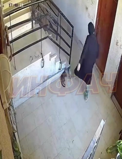 В Турции карма мгновенно девушку за пинок коту наказала. 01