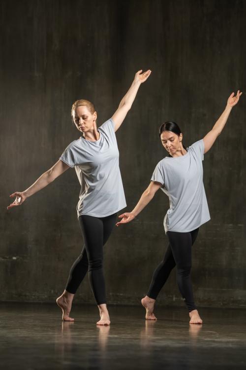 Упражнения пордебра можно разделить на несколько основных групп: упражнения для укрепления мышц плечевого пояса. 01