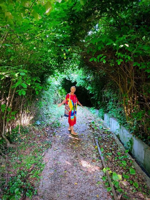 Интересно, что из нашего летнего дома - сада с малыми зверятами все новости смотрятся как трансляция с другой планеты. 04