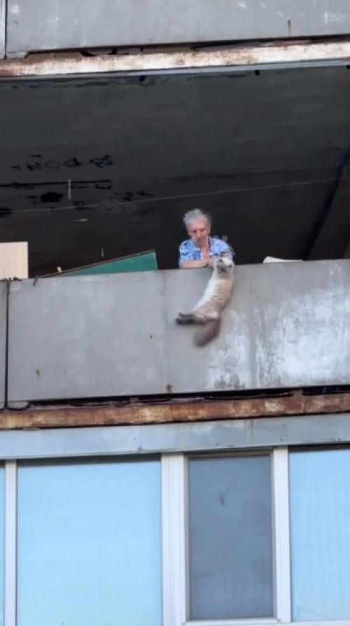 Пожилая украинка кота на глазах детей убивала. 02