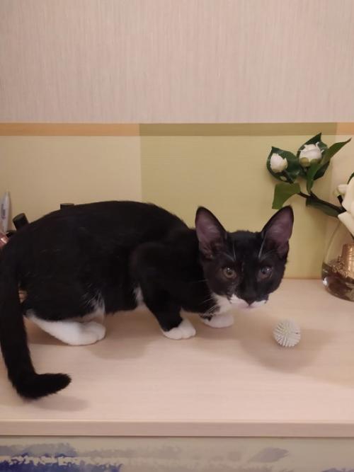 Москва и мо! 02 Москва и мо! 02