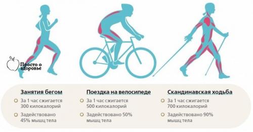Ходьба и бег для похудения. 04