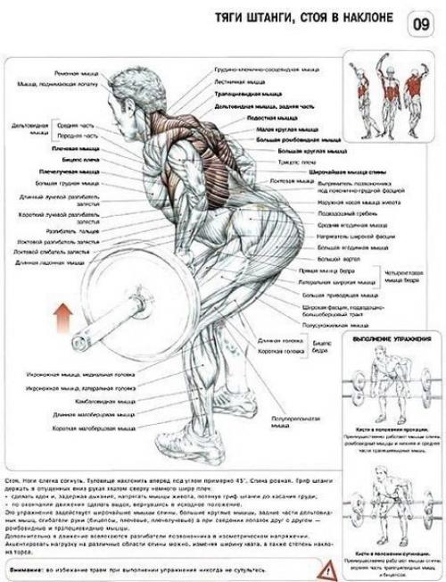 Упражнения.  Спина.  Все самое полезное и то, что сделает тебя сильнее! 03