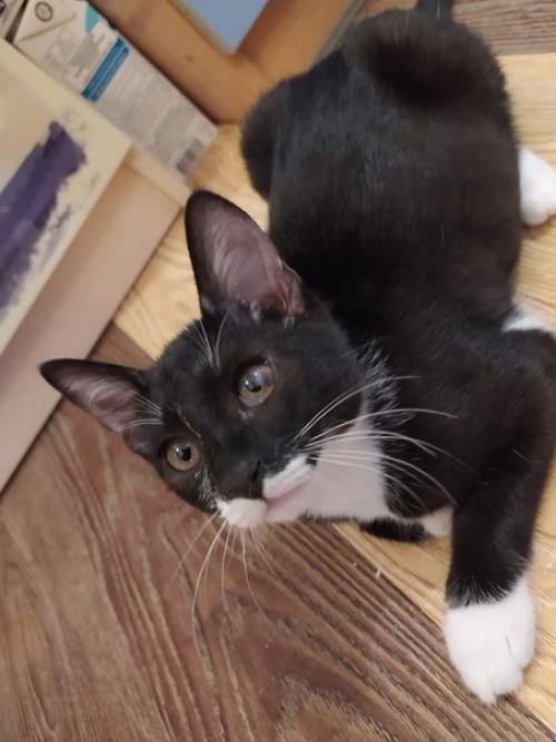 Москва и мо! 03 Москва и мо! 03